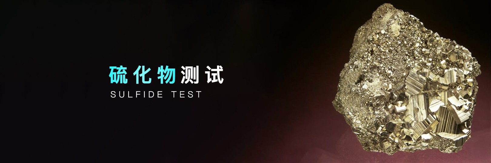 硫化物測試
